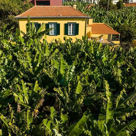 Вилла Casa D'Avo Celina Фуншал Экстерьер фото